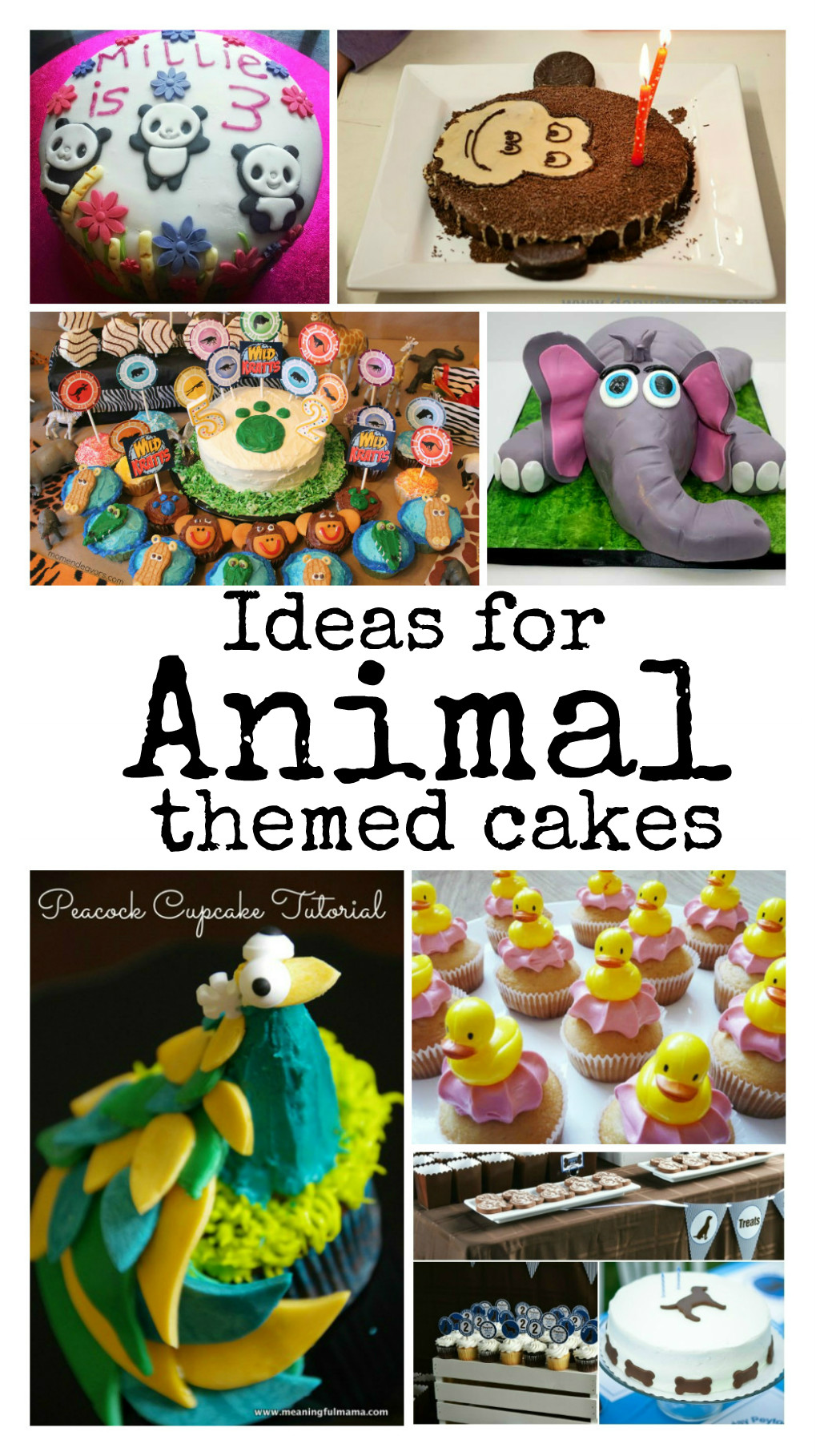 Kids Cake Decorating Ideas : Animal Cakes - In The Playroom